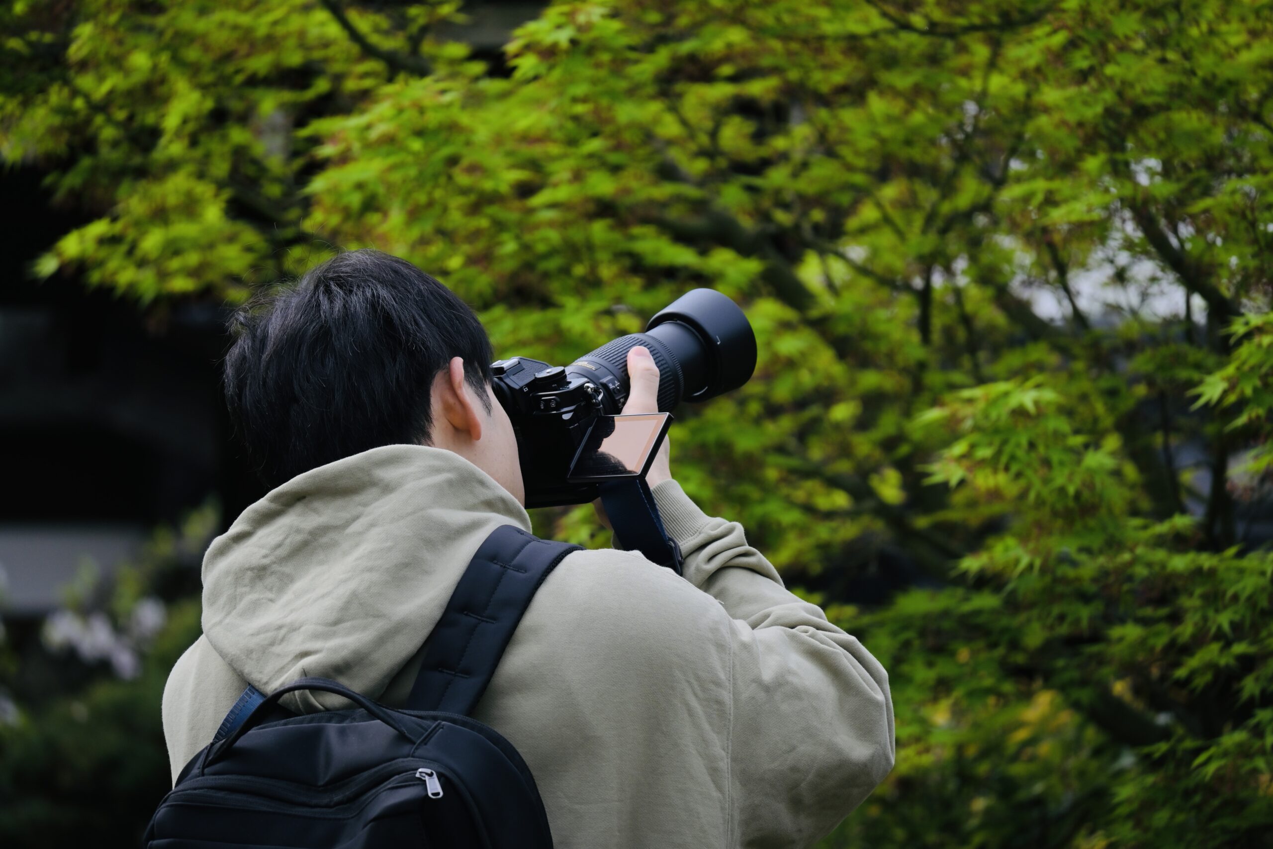 nikon-photo-photo